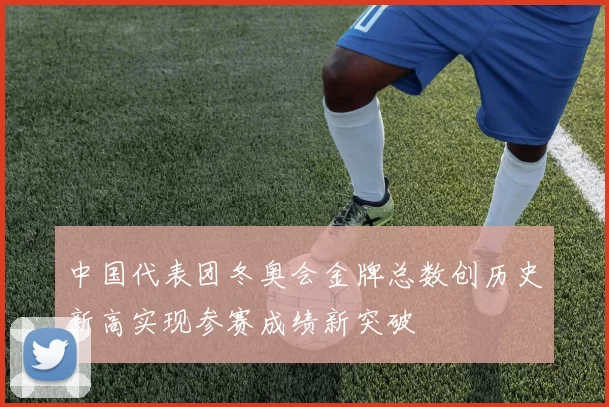 中国代表团冬奥会金牌总数创历史新高实现参赛成绩新突破